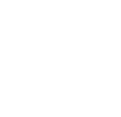 Valise